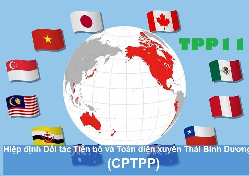 CPTPP – driving force connecting Asia-Pacific